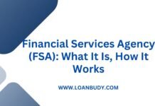 Financial Services Agency (FSA): What It Is, How It Works