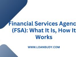 Financial Services Agency (FSA): What It Is, How It Works