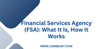 Financial Services Agency (FSA): What It Is, How It Works