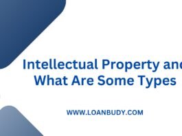 Intellectual Property and What Are Some Types