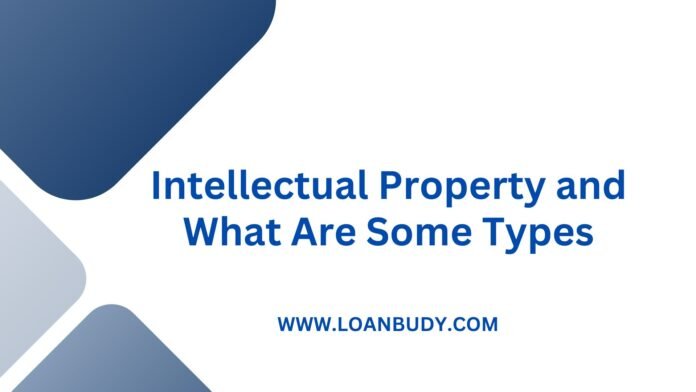 Intellectual Property and What Are Some Types