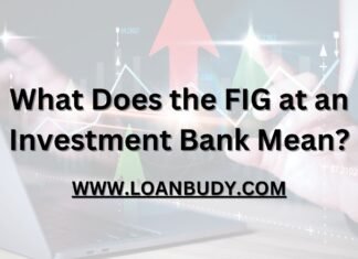 What Does the FIG at an Investment Bank Mean?