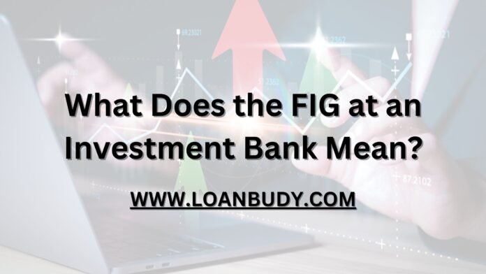 What Does the FIG at an Investment Bank Mean?